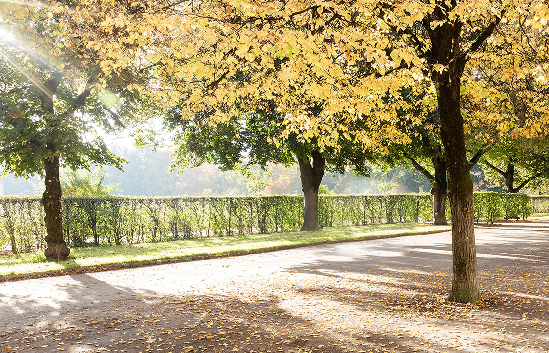 Hofgarten